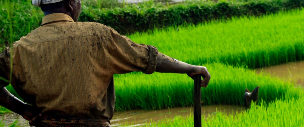How to Become a Strong developer With This Farmer Technique