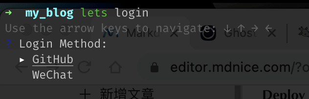 screenshot of the cli - lets login