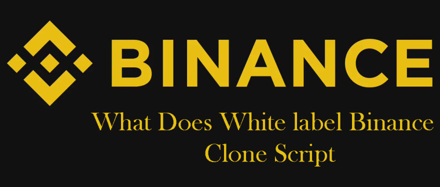 What Does White label Binance Clone Script