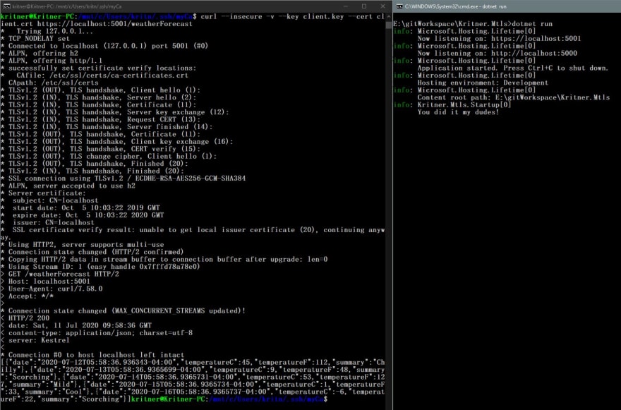 cURL command with cert provided