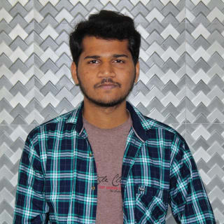 P V Vighnesh profile picture