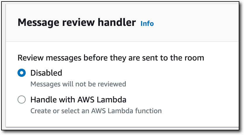 Message review handler options