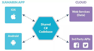 best course to learn Xamarin Framework