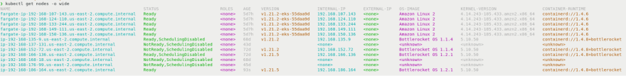command output showing the cluster nodes