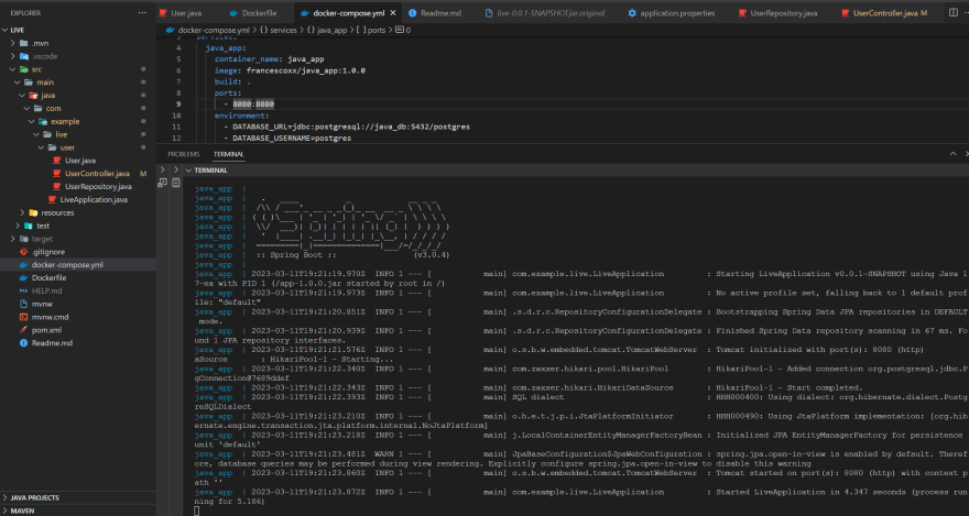 JavaSpring boot Application logs