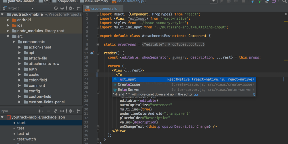 webstorm license server github