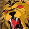 createadrln profile image