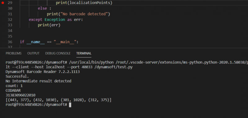 Python Debug