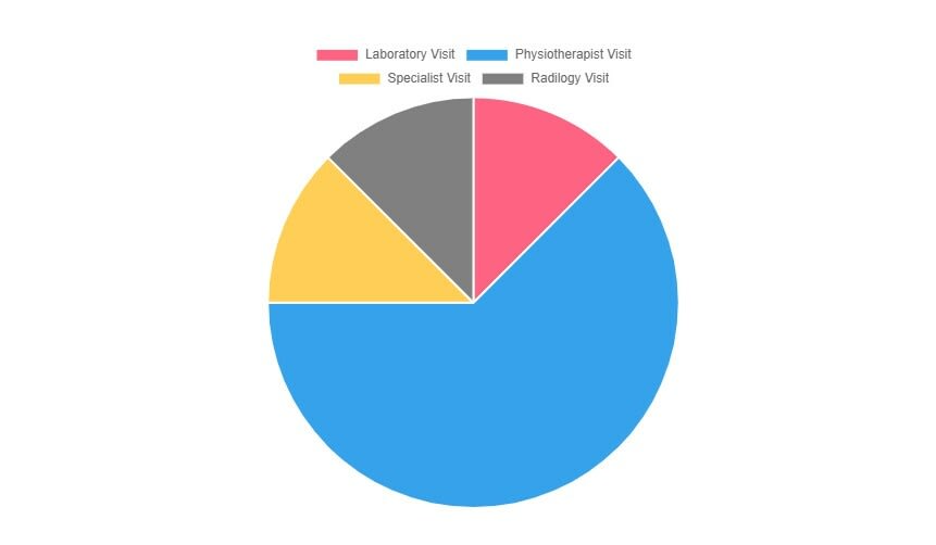 Create a pie chart using Angular and Springboot Quick博客