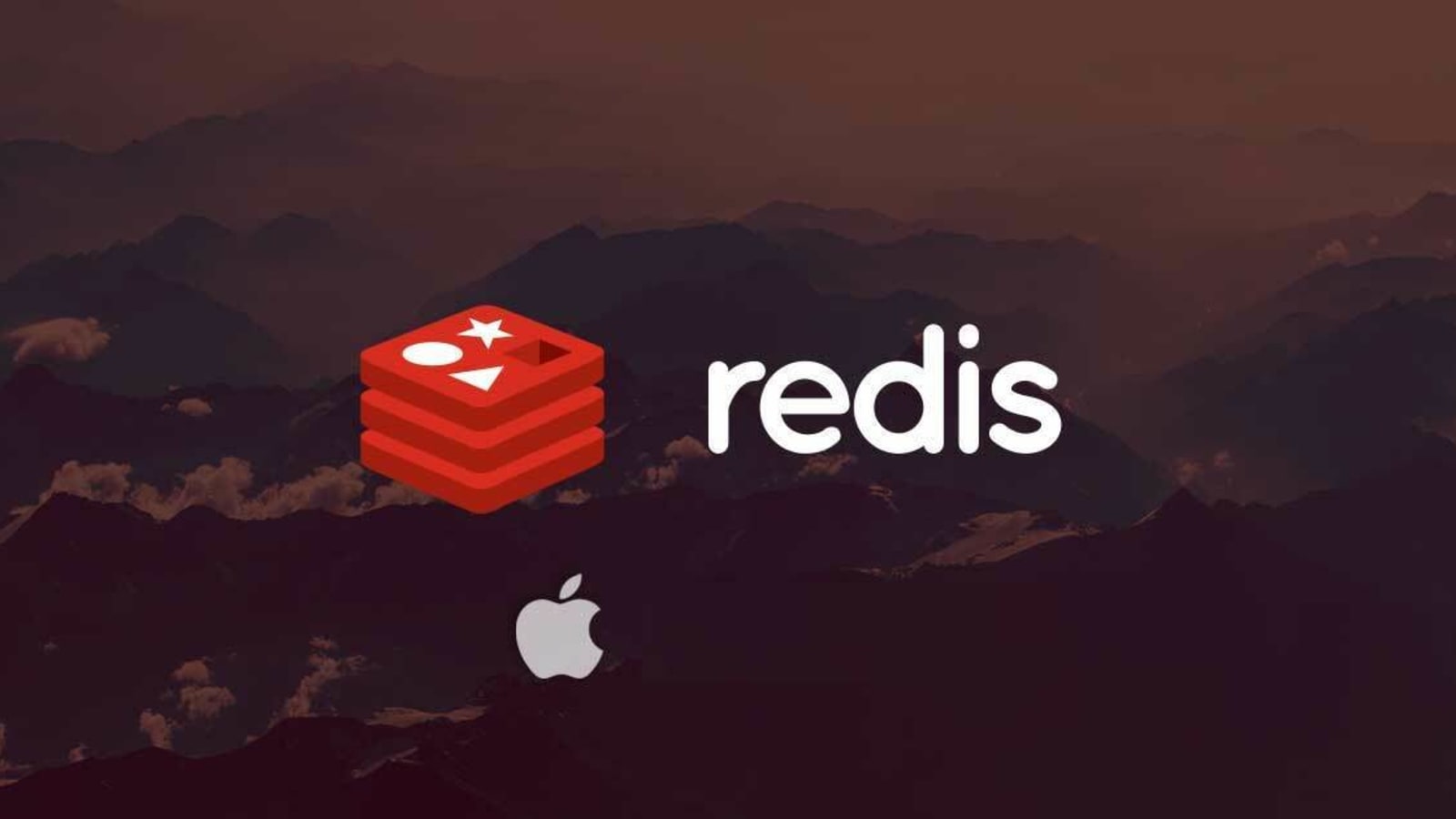 install redis server