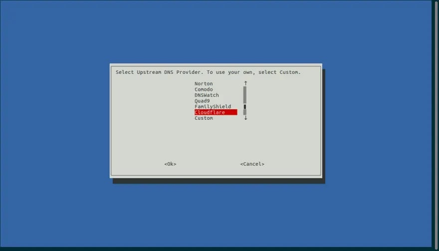 Installing Pi-hole and its DNS