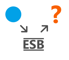 The Enterprise Service Bus