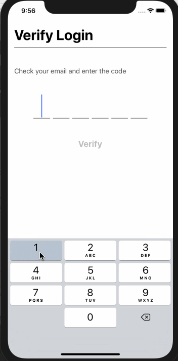 Numeric code verifier