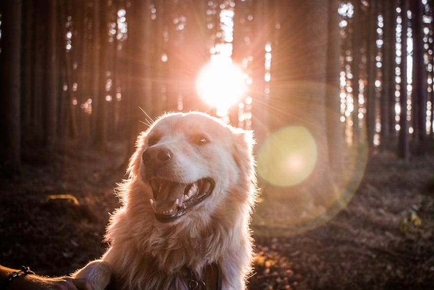 Photo by [Andreas Wagner](https://unsplash.com/@waguluz_?utm_source=medium&utm_medium=referral) on [Unsplash](https://unsplash.com?utm_source=medium&utm_medium=referral)