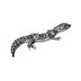 amilaupendra profile