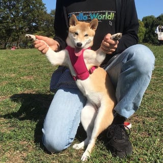 nownabe profile picture
