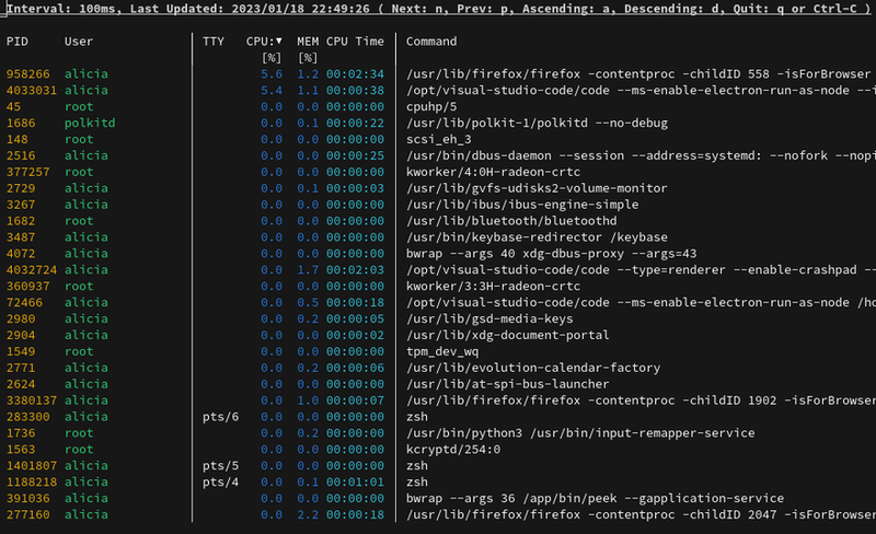 Unleash the Power of the Terminal: Essential Tools Every Developer Should Know