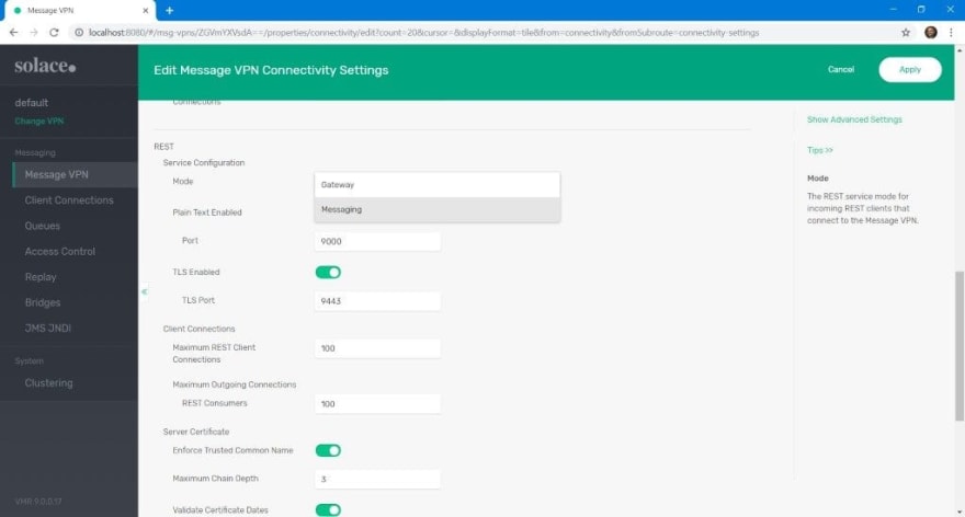 Enabling Microgateway Connectivity