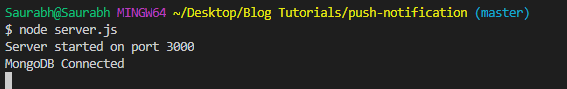 server-running-command.jpg