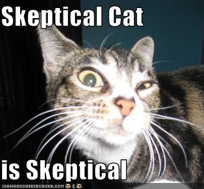 striped cat giving skeptical look. text says "Skeptical Cat is skeptical"