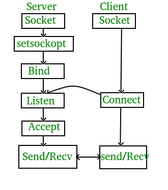 Build Your Own curl – Rust