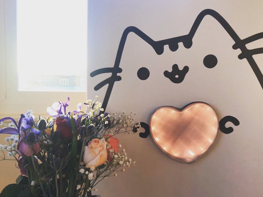 header image pusheen