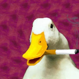 Ahmed Abouzied profile picture