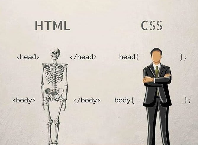 HTML && CSS