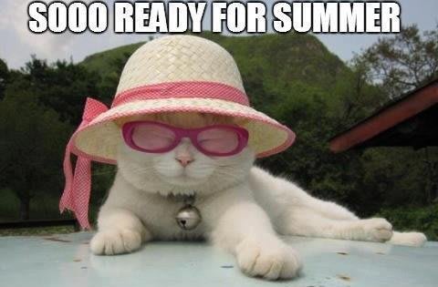 Ready for summer cat