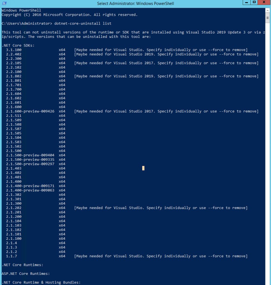 check dotnet core version