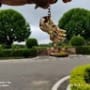 thedrivingforc profile
