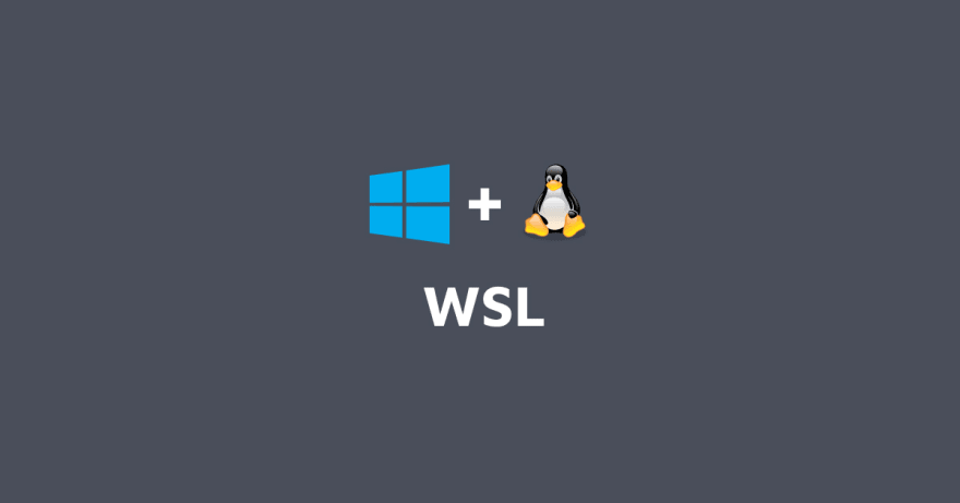 wsl(windows + linux)