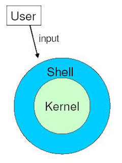 Imagem demonstrando que o Shell envolve o Kernel enquanto o usuário envia uma entrada diretamente para o Shell