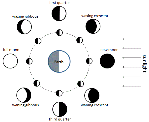 Moon phases illustrated