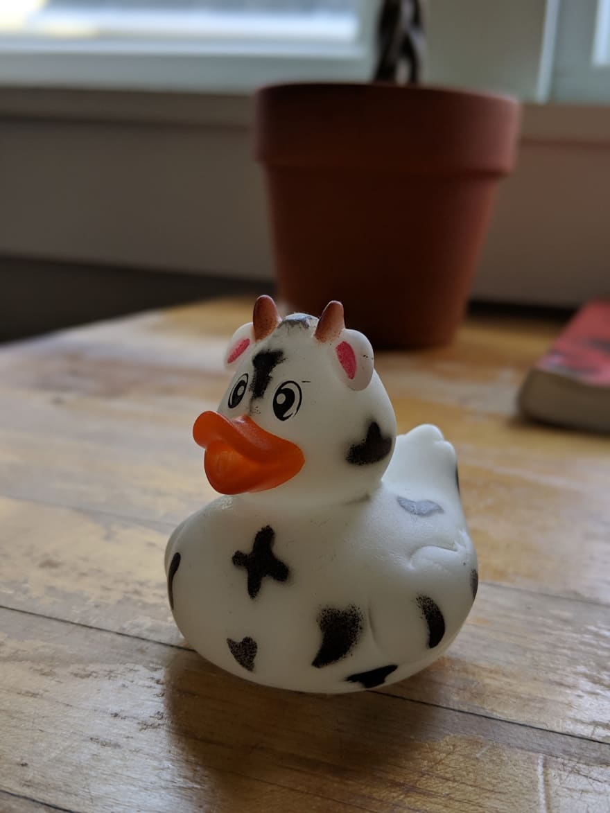 Cow rubber duck shop