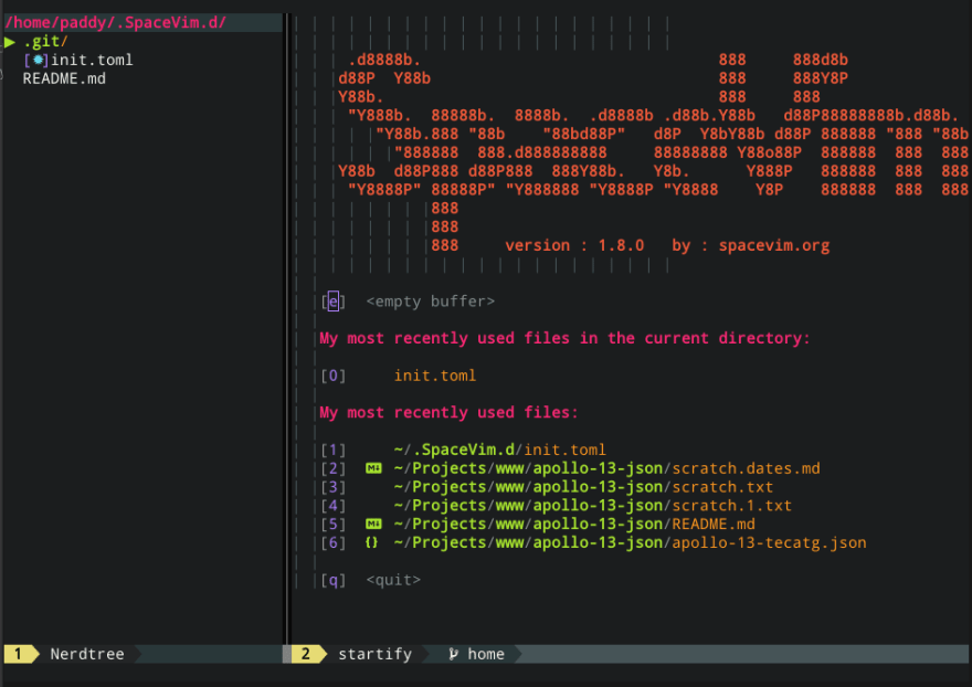my spacevim