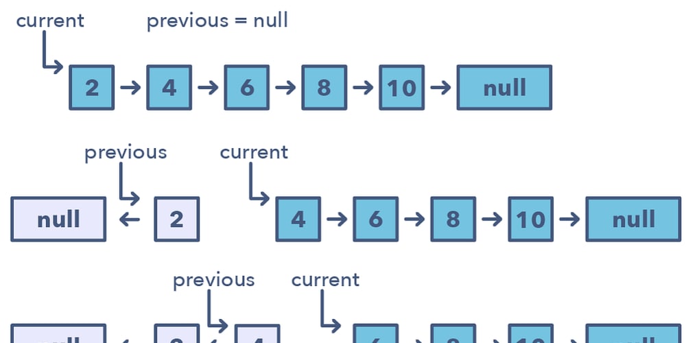 Algorithms for beginners store