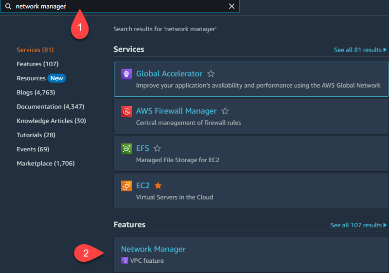 AWS Network Manager for Performance Engineers