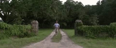 Run Forrest Run gif