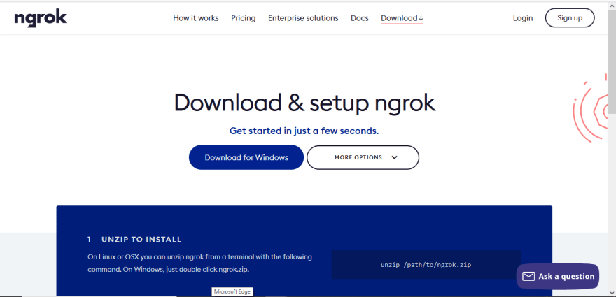 ngrok1
