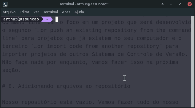 Terminal do Linux com Oh My Zsh e tema agnoster