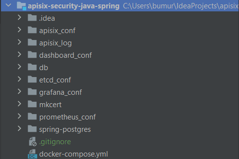 APISIX project directory