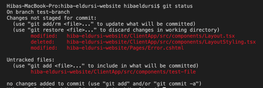 Git terminal showing status of files