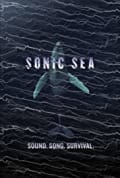 Sonic Sea (2016)