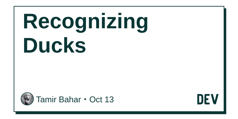 Recognizing Ducks Dev