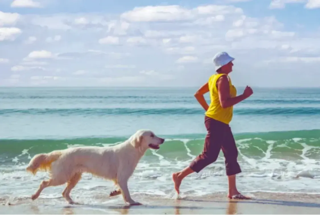 プロフィールコンテンツ