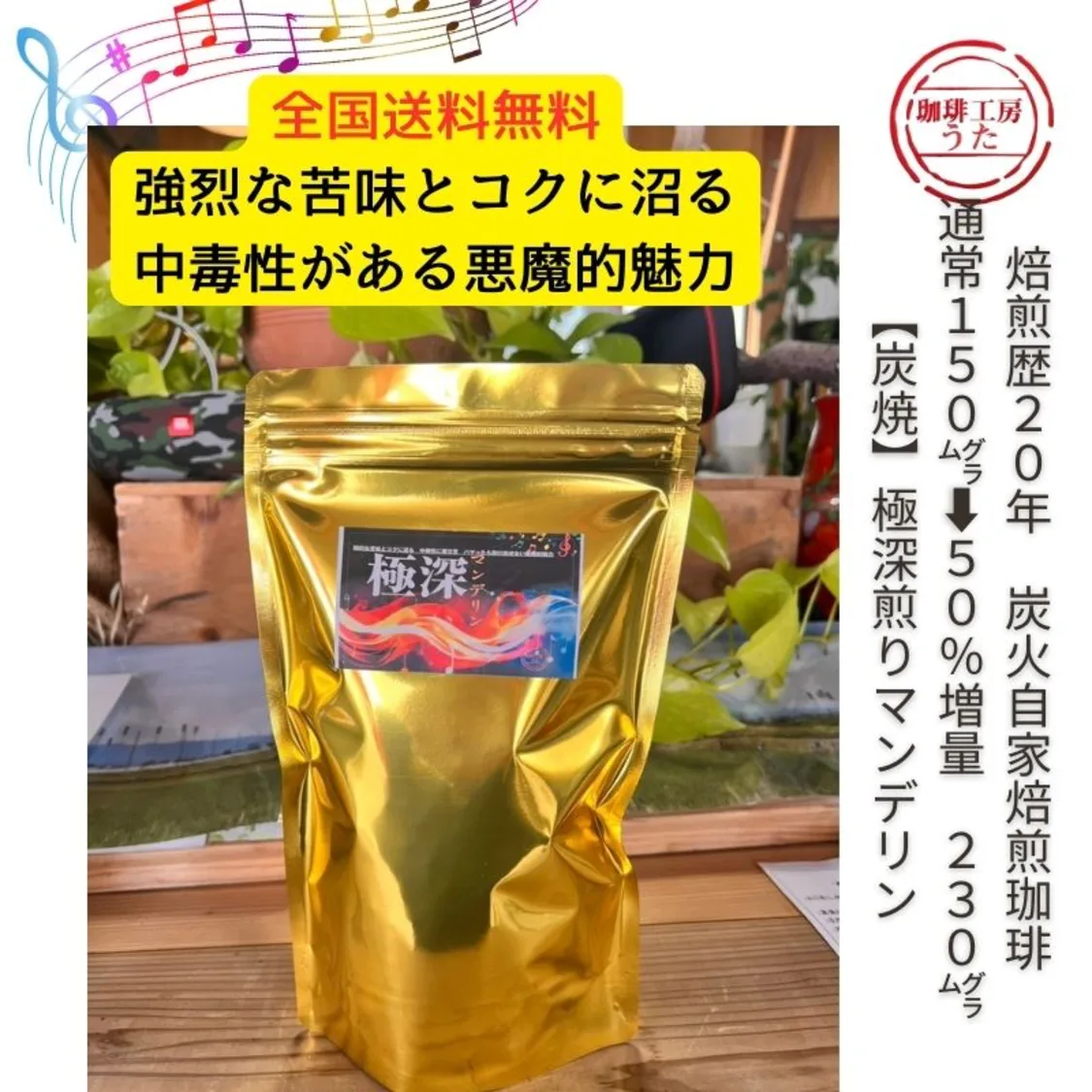 プロフィールコンテンツ