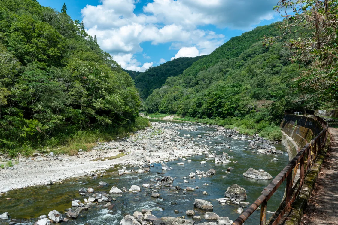プロフィールコンテンツ