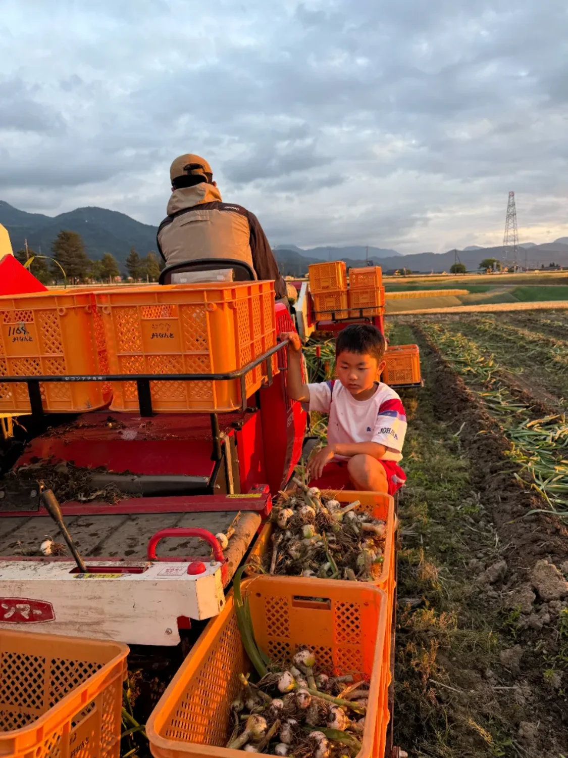 プロフィールコンテンツ