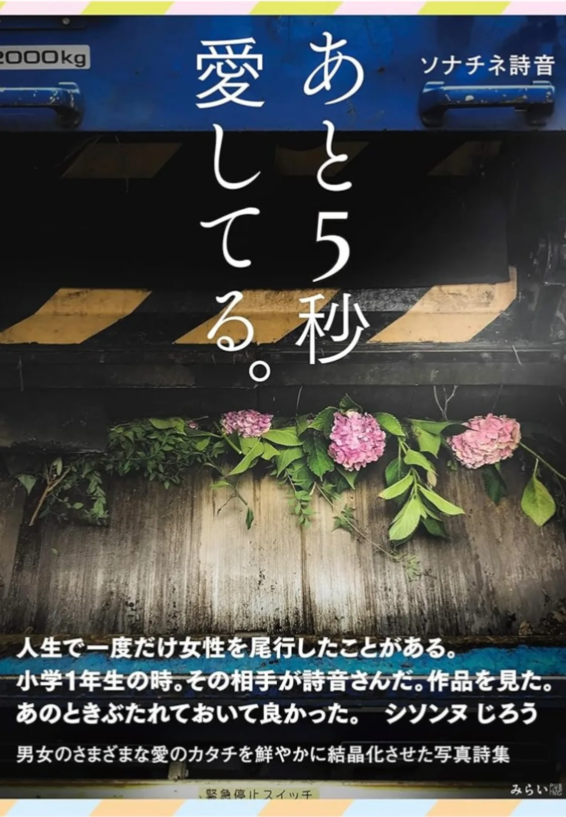 プロフィールコンテンツ